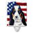 Basset hound noir