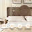 Boucle Bed Frame, Upholstered Cloud Bed Frame, Platform Bed Frame With Headboard, Modern Cream Bed Frame-2083019662-2083019698