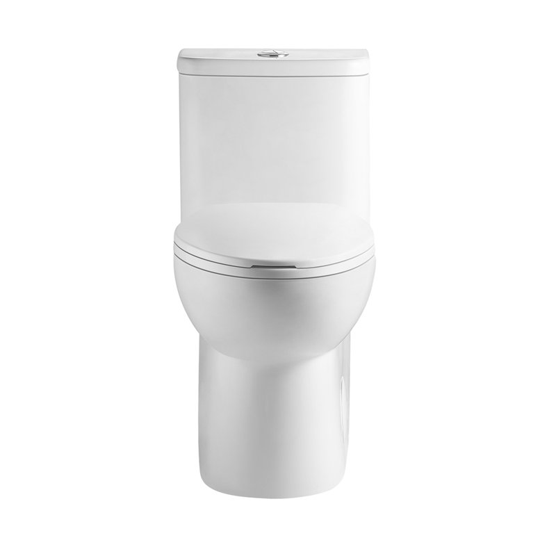 1.1/1.6 GPF Tornado Flush One-Piece Toilet with Comfort Chair Seat ADA Height 17",Powerful & Quiet Dual Flush Modern Toilet,Siphonic S-trap 12",Rimless Bowl with Soft Closing Seat,Gloss White