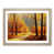 Oak Framed selected