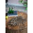 Monstera Leaf Wall Décor-509227391