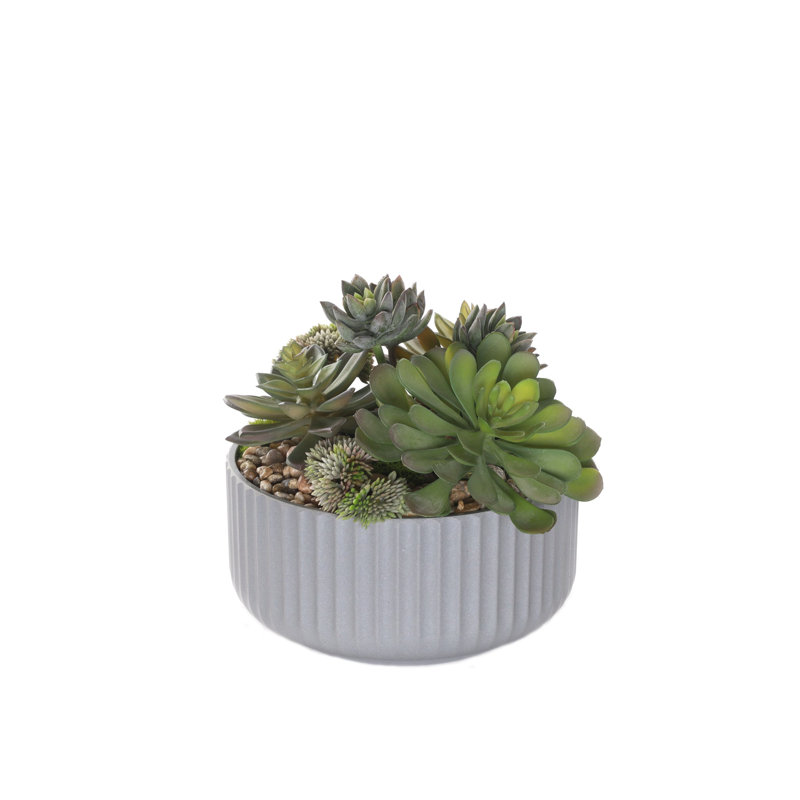 Faux Succulent, Gray