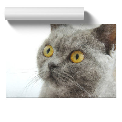 British Shorthair Cat Painting - Frameless Print