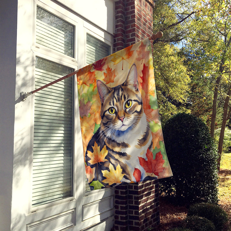 Chat en feuilles d'automne, California Spangled