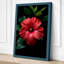 Glowing Hibiscus Botanical - Wrapped Canvas-72729088-72729338