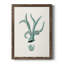«Alarica Antique Coastal Coral», reproduction d'art sur toile encadrée-88399734-88399735