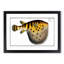 Pufferfish by M.E. Bloch - Framed Print-55602034-55602035