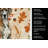 Brindle Great Dane Heirloom Fall Kitchen Towel-1218231536