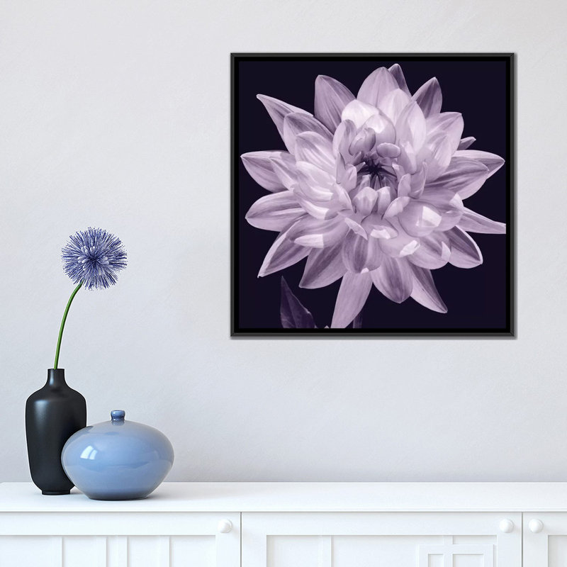 « white dahlia i », impression sur toile, H 18 po x l 18 po x p 1,5 po, Toile avec cadre noir, Pas de tapis