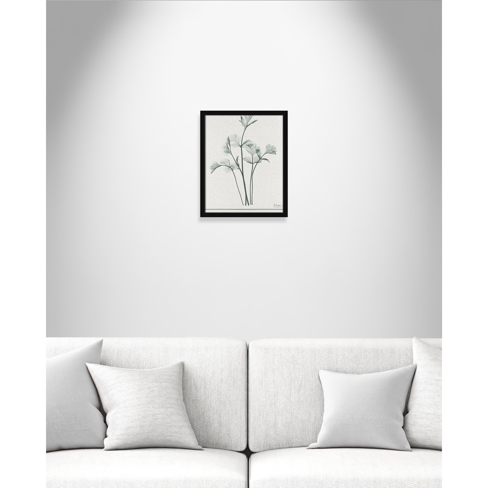 Parsley II Framed On Paper by Albert Koetsier Print, 19" H x 16" W x 1.25" D, Satin Black Framed Paper
