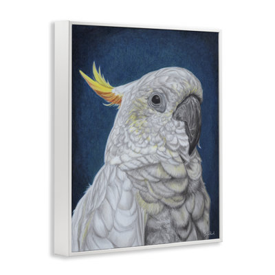 Traditional Cockatoo Visage Giclee Art by Connie Resch