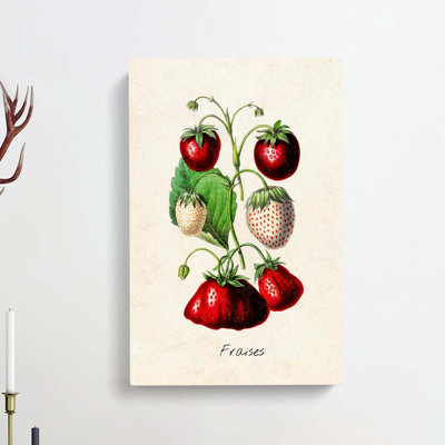 An Illustration of Strawberries - Wrapped Canvas