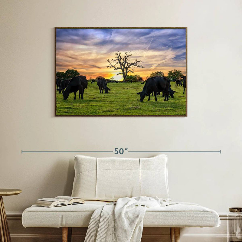 Pâturages Aberdeen Angus, Cadre flottant en noyer, 40 po x 27 po