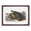 Sea Otter by J.W. Audubon - Picture Frame Painting Print-55614075-55614076