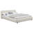 Low Platform Padded Bed-214314535