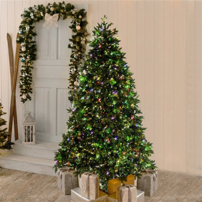 Lighted Christmas Tree