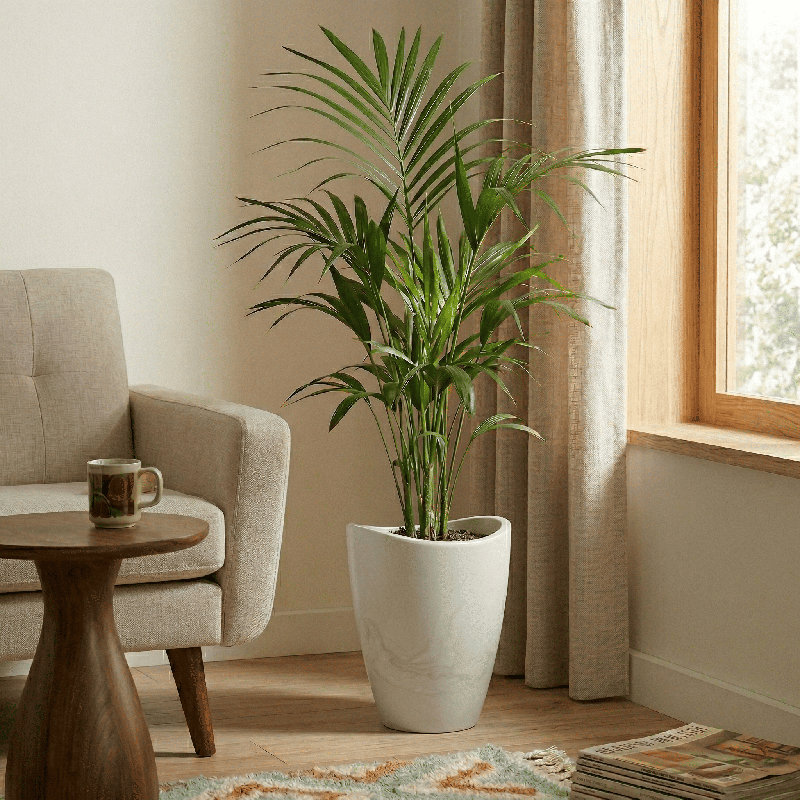 Vinisha ECOBO EcoFriendly Round Pot Planter, Onda IndoorOutdoor use, Four Season Use, White, 15.8" H x 11.8" W x 11.8" D