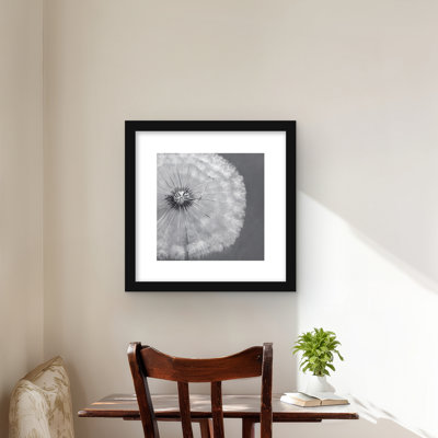 Pissenlit - boule grise - fleurs grises, impression mat
