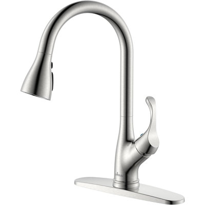 APPASO Pull Down Kitchen Faucet