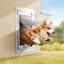 Iron Pet Door-562286679