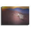 «Sunset Flight» par Jonathan Ross-975610957