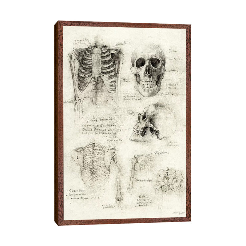 Skeleton 1 Piece Wall Art on Canvas, 66.04cm H x 45.72cm W x 3.81cm D, Classic Brown Wood Framed