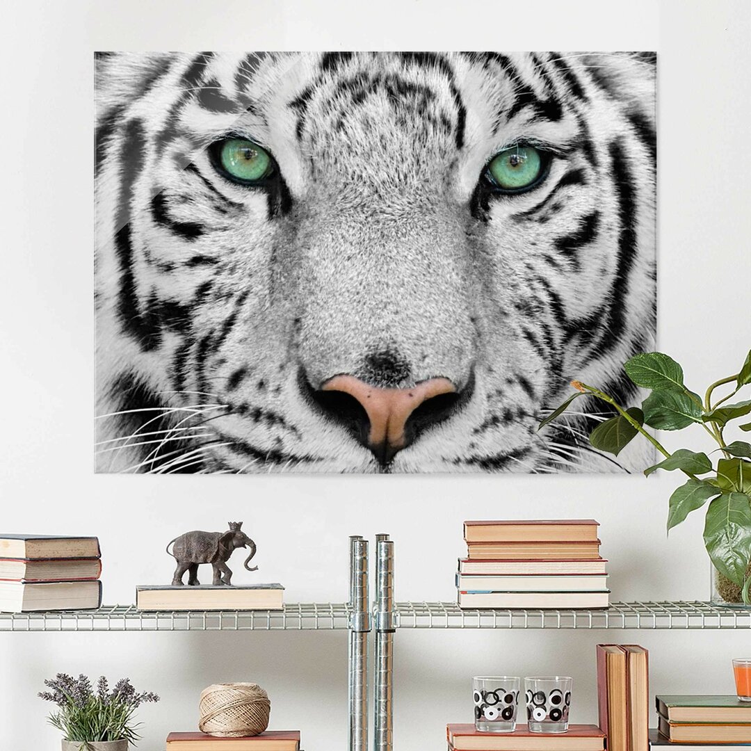 Glasbild White Tiger