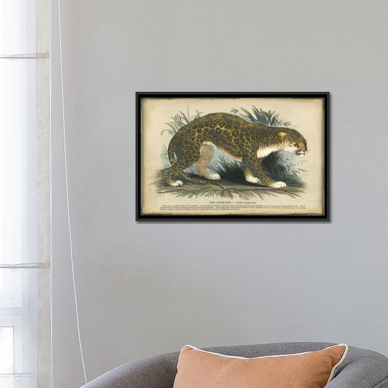 «Leopard», reproduction sur toile, H 18 po x l 26 po x P 1,5 po, Toile avec cadre noir, Pas de tapis