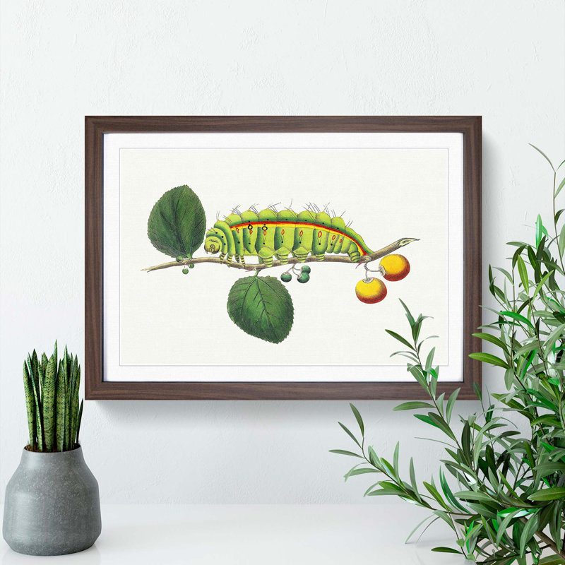 Caterpillar by George Shaw - Picture Frame Painting Print, 27cm H x 36cm W x 2cm D, Walnut Framed