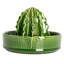 Cactus-Shaped Stoneware Juicer