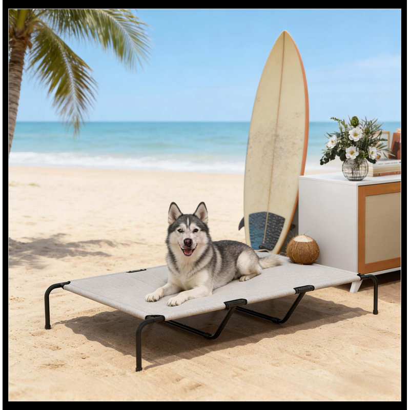 Grand lit pour animal de compagnie, lit surélevé pour chien, Beige / noir / blanc