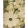 Asiha Floral Indoor Rug