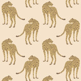 Prowling Cheetah - Desert Sand Wallpaper