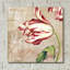 "Tulipes menthe poivrée II" par Sasha-811133409