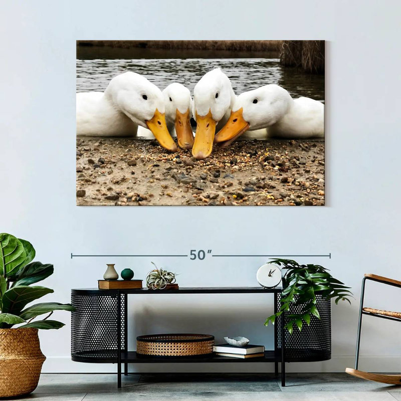 Brampt American Pekin Ducks, 32" H x 48" W