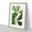 Flowering Tristania Plant - Framed Print-55576274-55576275