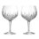 Gin Journeys Lismore Gin Balloon 18.5 fl oz