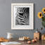Zebra Colt - Photographie avec cadre photo-1635737486-1635583822