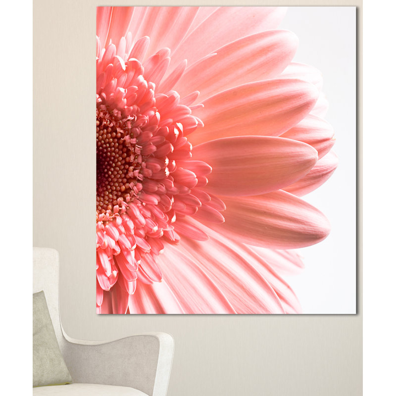" Large Pink Daisy Flower Petals ", 20" H x 12" W x 1" D, Wrapped Canvas