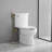 Hand Held Bidet-102585301