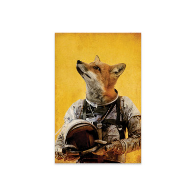 Renard de l'espace