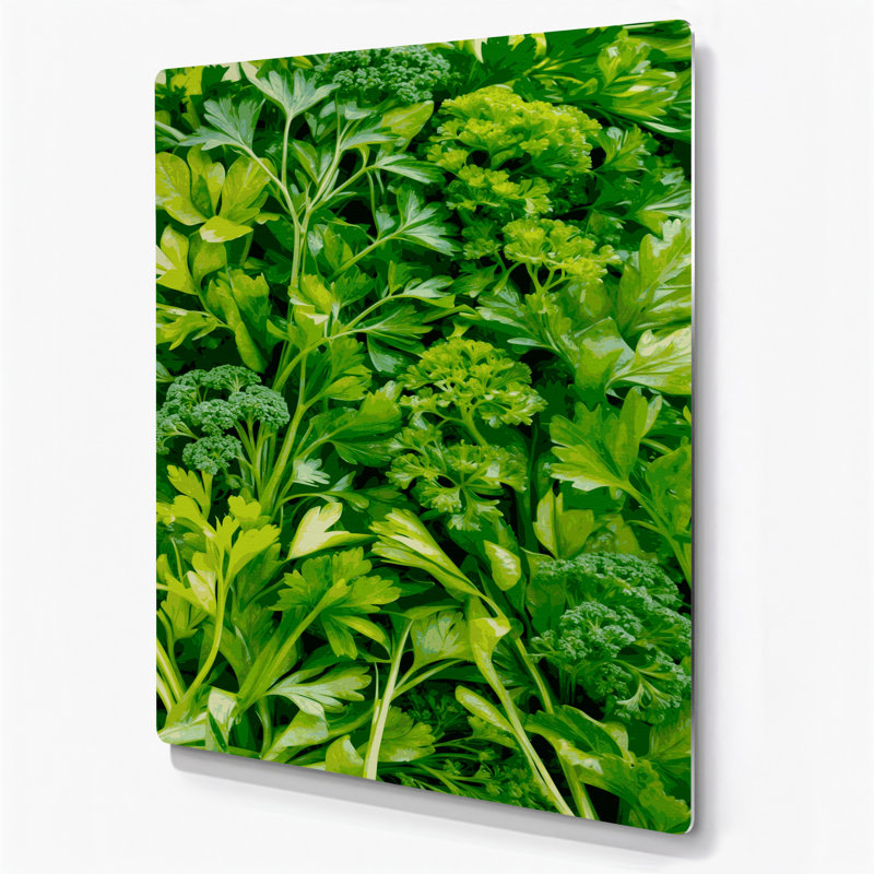 Aquarelle botanique 66, art mural vert en métal, H 24 po x l 20 po