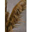 117cm Faux Pampas Grass Grass-734366490