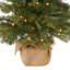 3ft. Nordic Spruce Tree with LED Lights