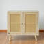 Allory Wicker/Rattan Rectangle Accent Cabinet