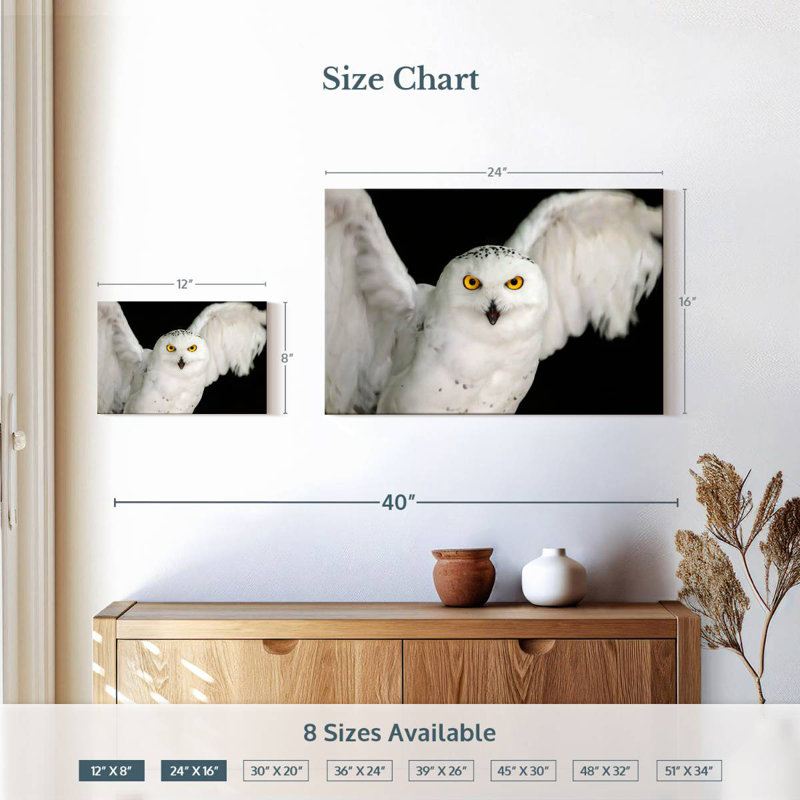 Hibou blanc Brampt, H 16 po x l 24 po