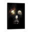 «Cave Skull» par Ali Gulec, impression sur toile tendue-15808445-74878809-74878810