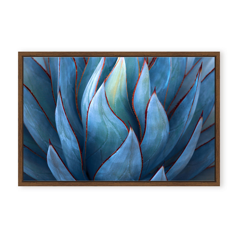 Nature Inspired Blue Agave Abstract by  - Picture Frame Graphic Art on Paper, 16" H x 24" W x 2.375" D, Framed Canvas, Gold