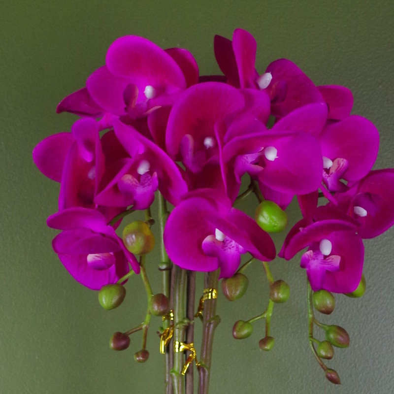 Arrangement, Dark Pink