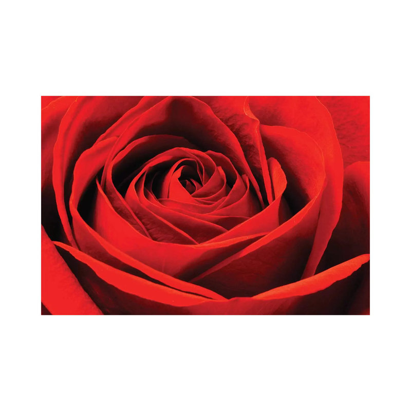 Red Rose by Brian Wolf - Wrapped Canvas Gallery-Wrapped Canvas Giclée